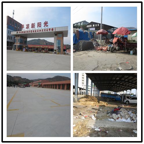 平凉日报：城区东郊蔬果批发市场棚改视察  - 集团动态 - 新疆大湾房产（集团）有限公司