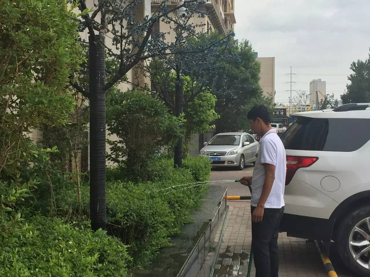 艾乃斯·吐送分派至保洁部在事情中